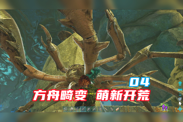 方舟畸变非专用主机