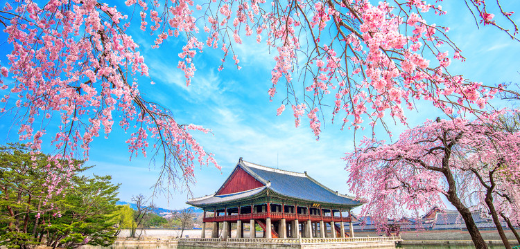 韩国生鲜海产品报关备案代理公司