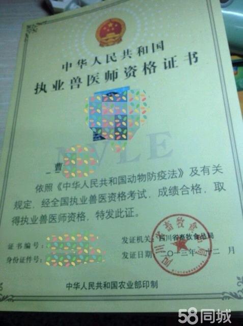 执业兽医师没备案