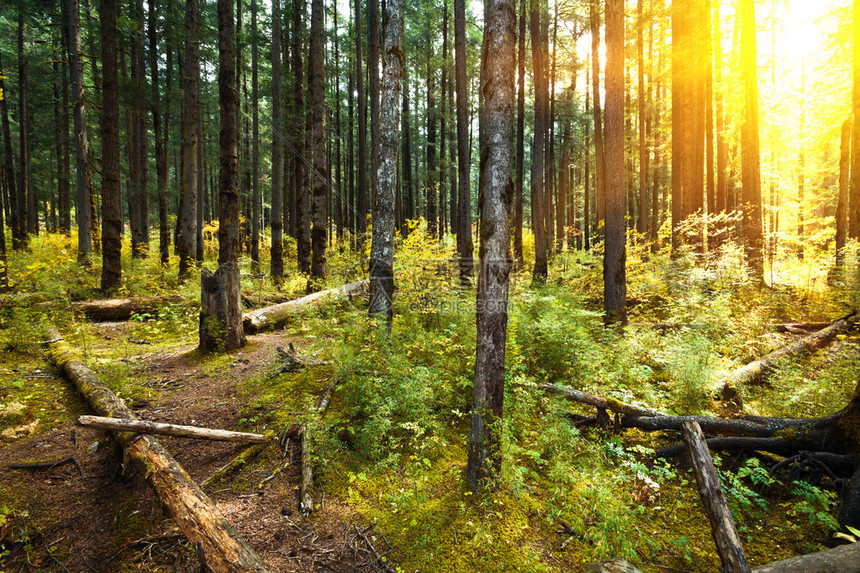 林木种子经营许可证备案在哪里查