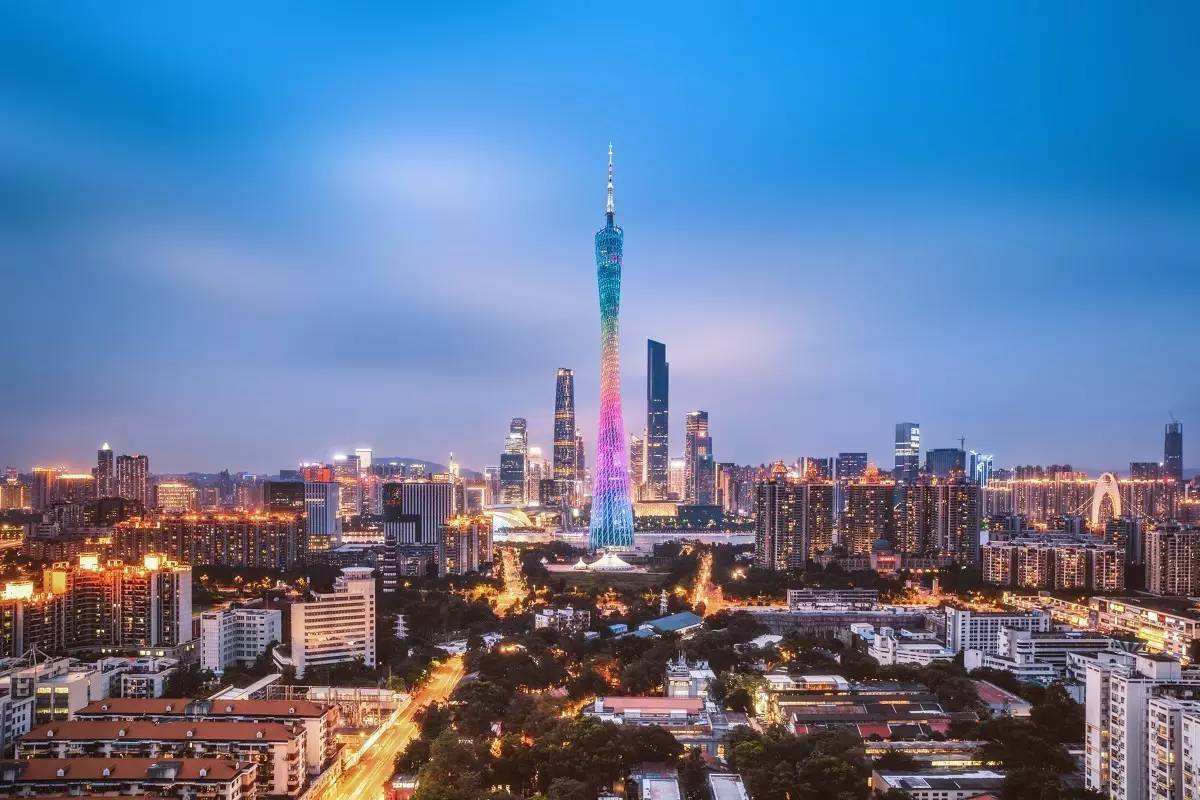 广州net域名信息查询