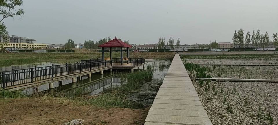 齐河中骏雍景湾的备案价是多少