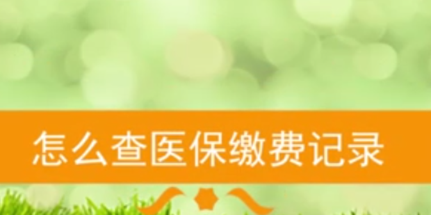 怎么查询医保备案了没有