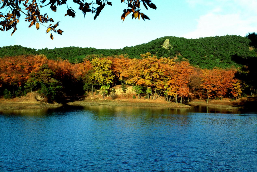 北戴河区网站建设设计