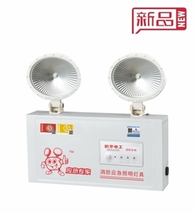 敏华应急主机可以看总点数吗