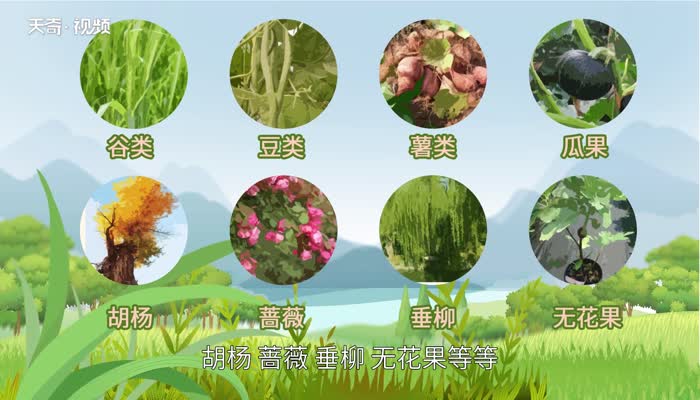 哪些店办三小备案