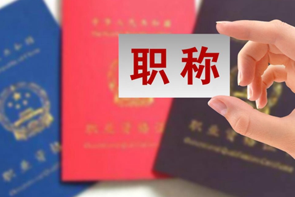 职称聘用备案表