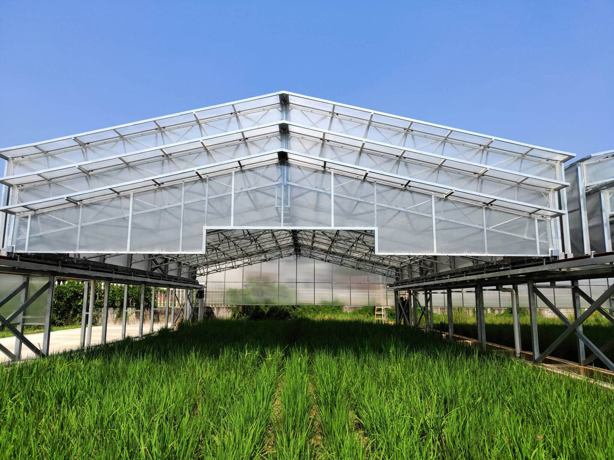 设施农业备案恒温冷藏库建设