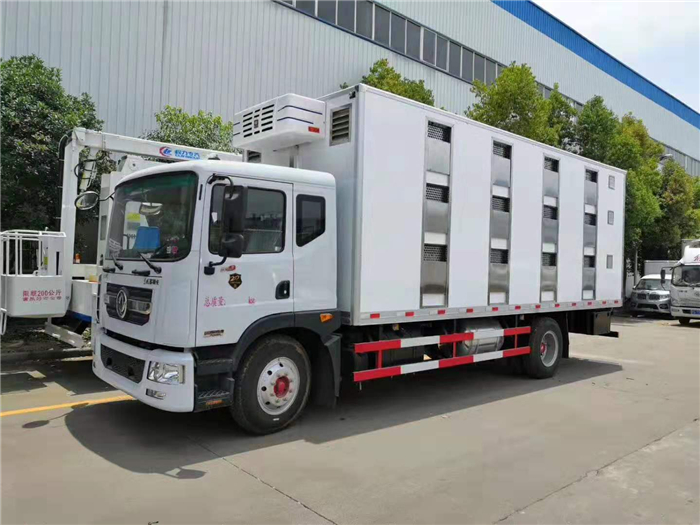 拉猪双胞胎备案车