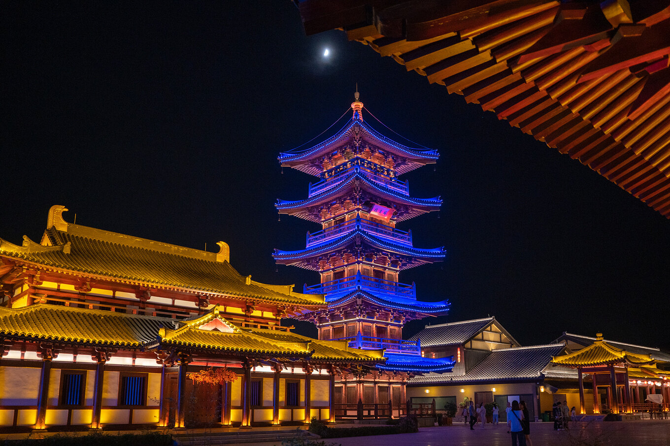 新余外贸网站建设