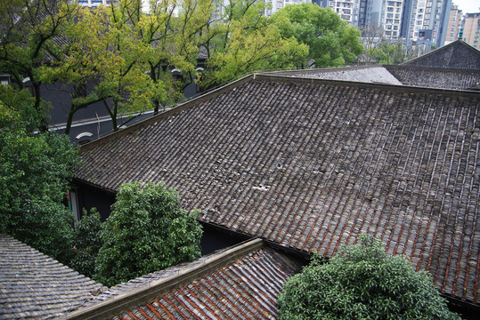 长沙网站建设维护学期总结
