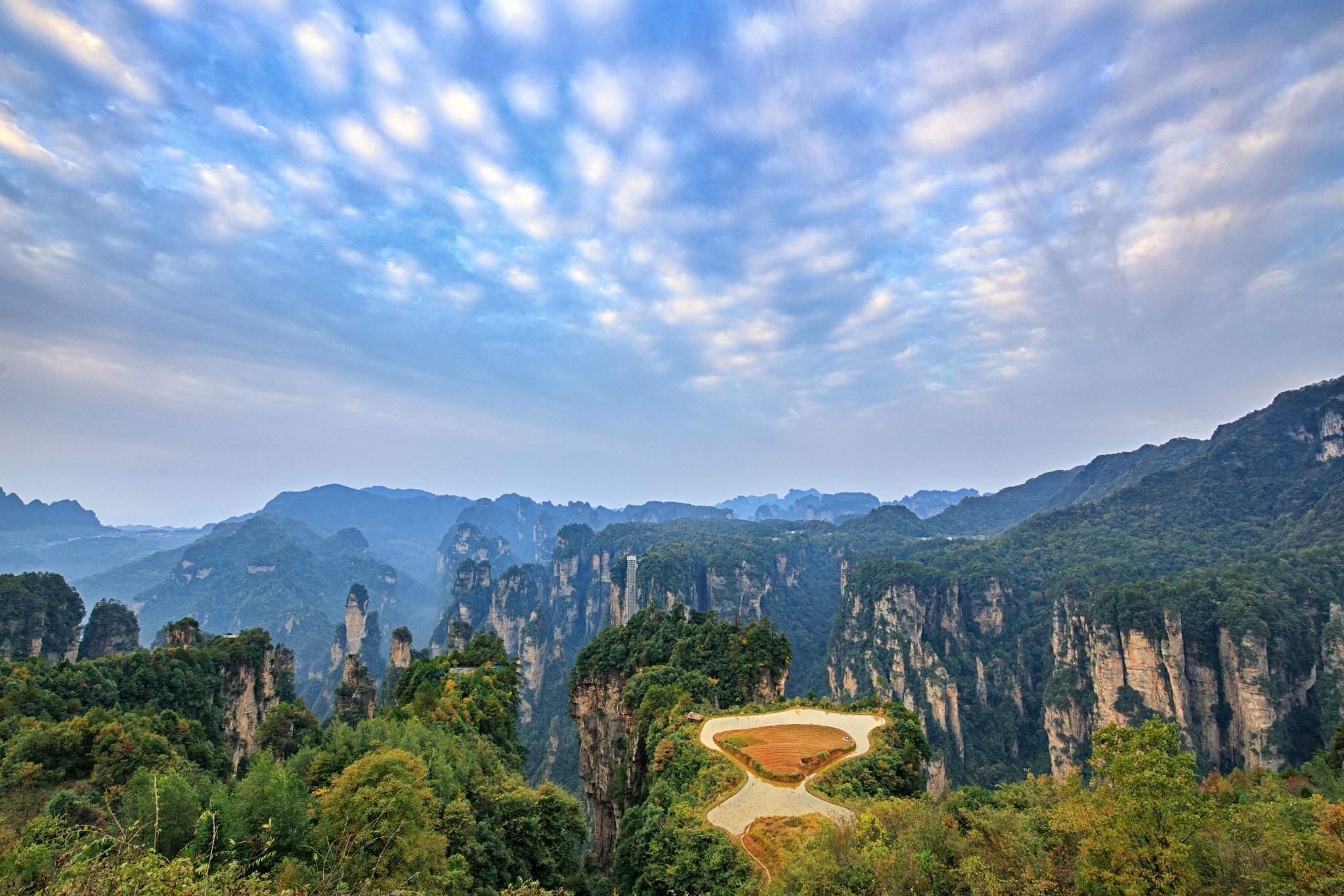 张家界企业网站建设途径有哪些