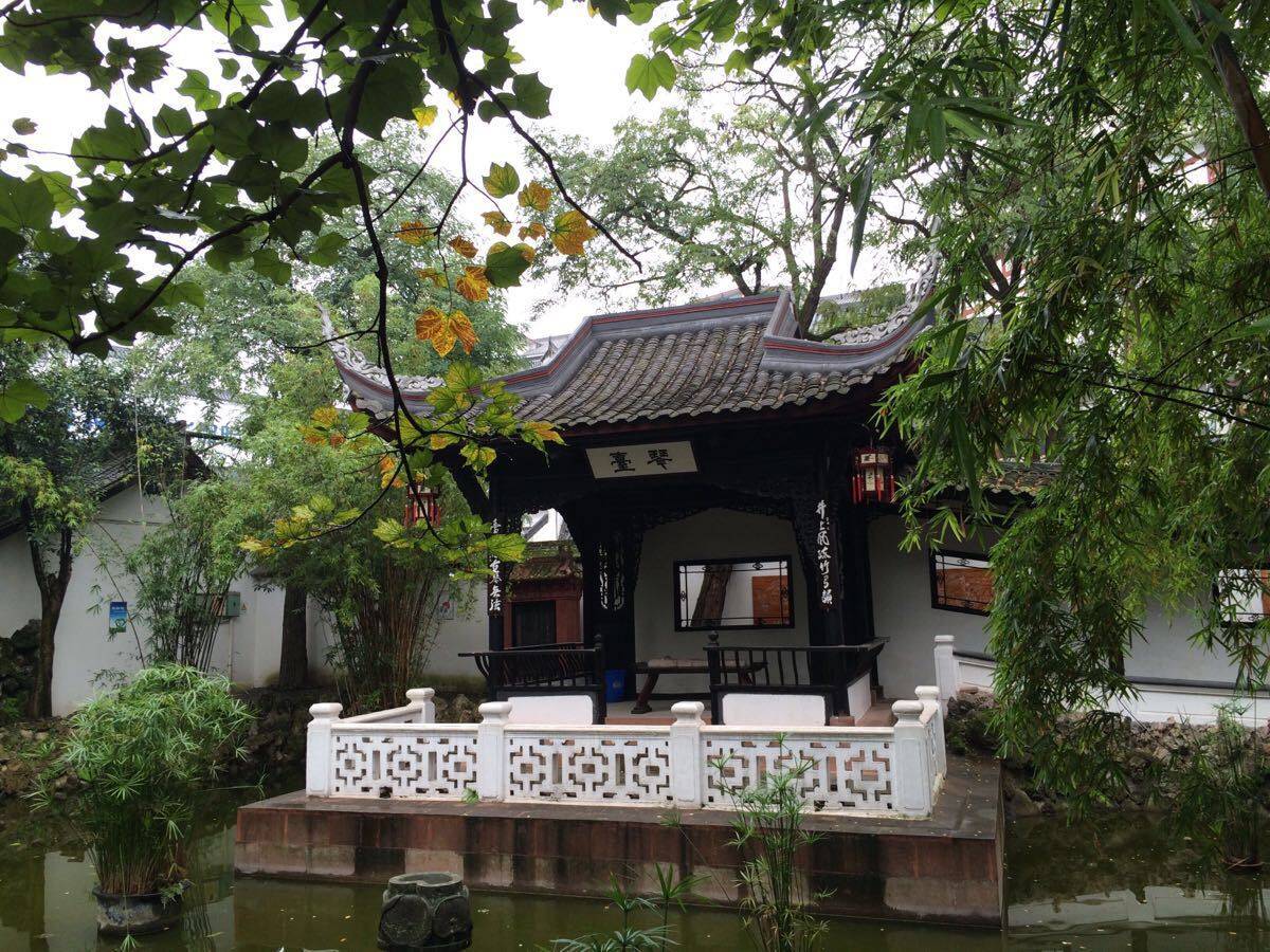 临沭网站建设服务哪家好