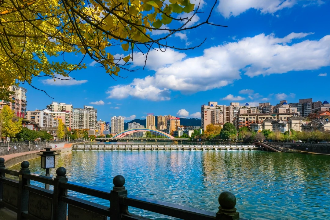 贵州主机润滑油泵泵头