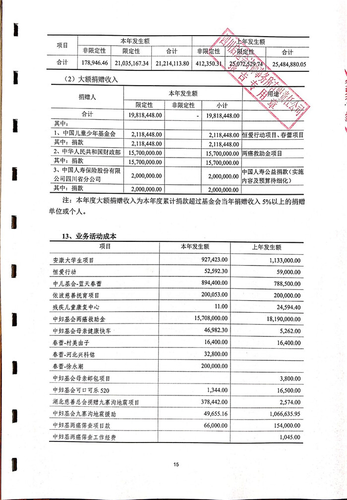 备案过后审计报告怎么查