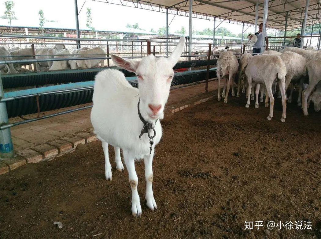 养殖土地备案手续怎么办理