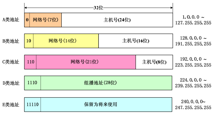ip地址中的网络号字段和主机号字段