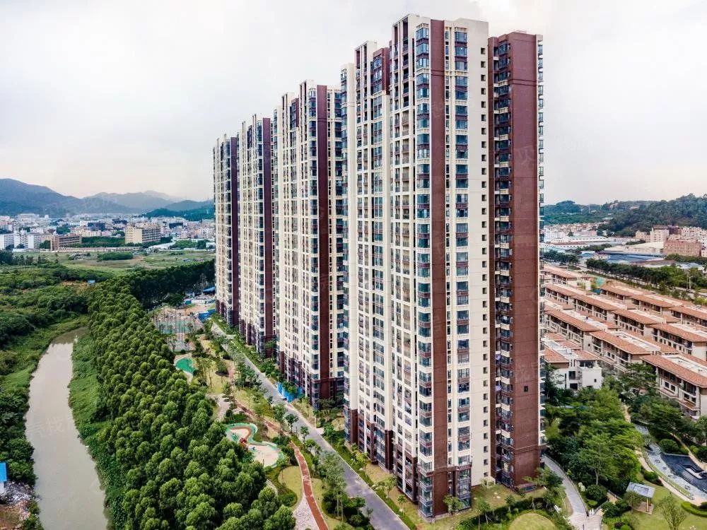 大岭山养狗备案不