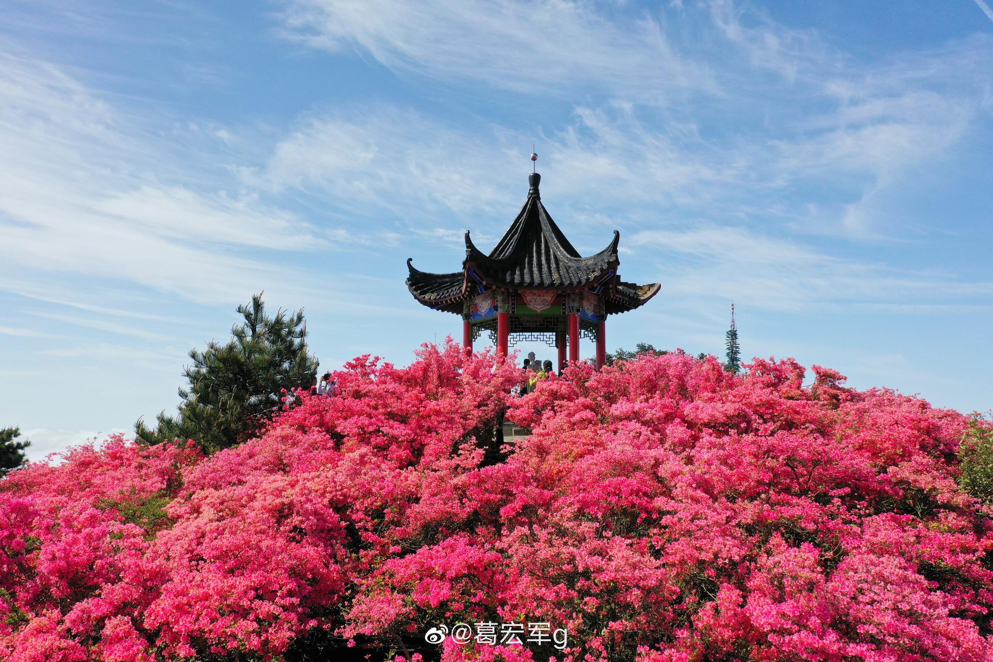 麻城力高君悦府备案价哪里查