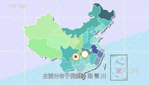 四川达川生猪运输车辆备案