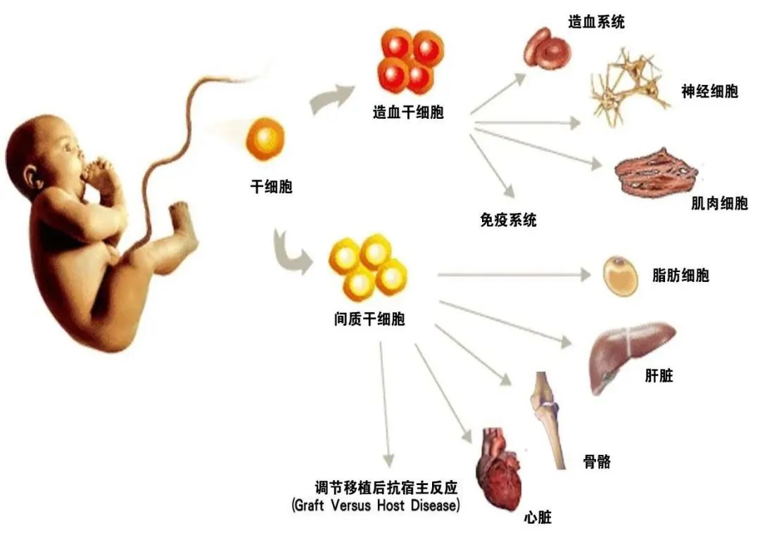 干衣机的主机可以用在卧室吗