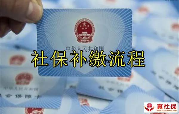 补交社保备案需要哪些手续