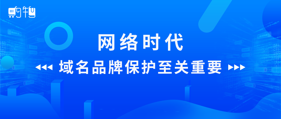 保护互联网域名系统的意义