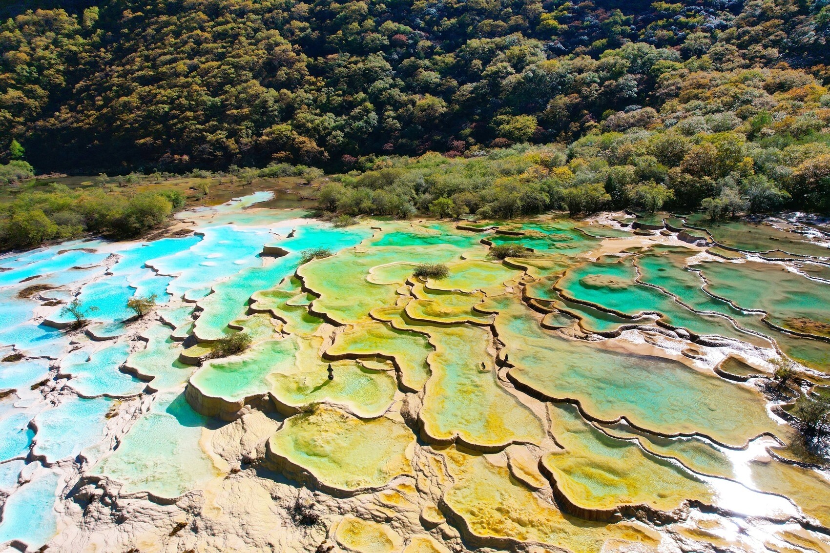 四川个税减免备案