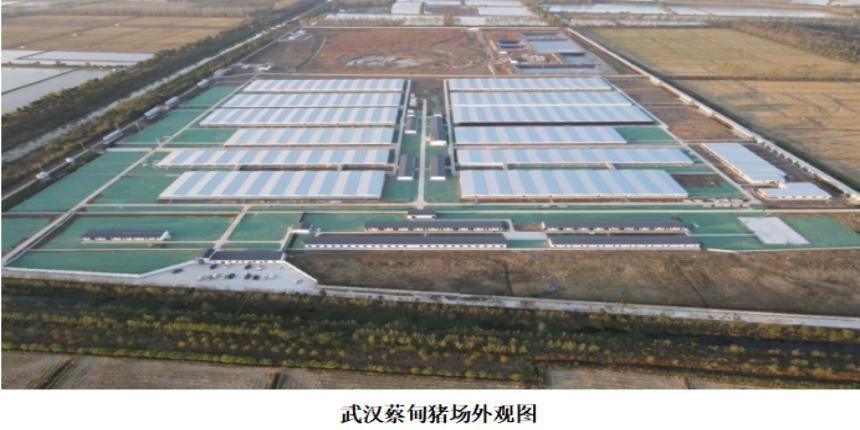 汤阴天域国际能备案吗