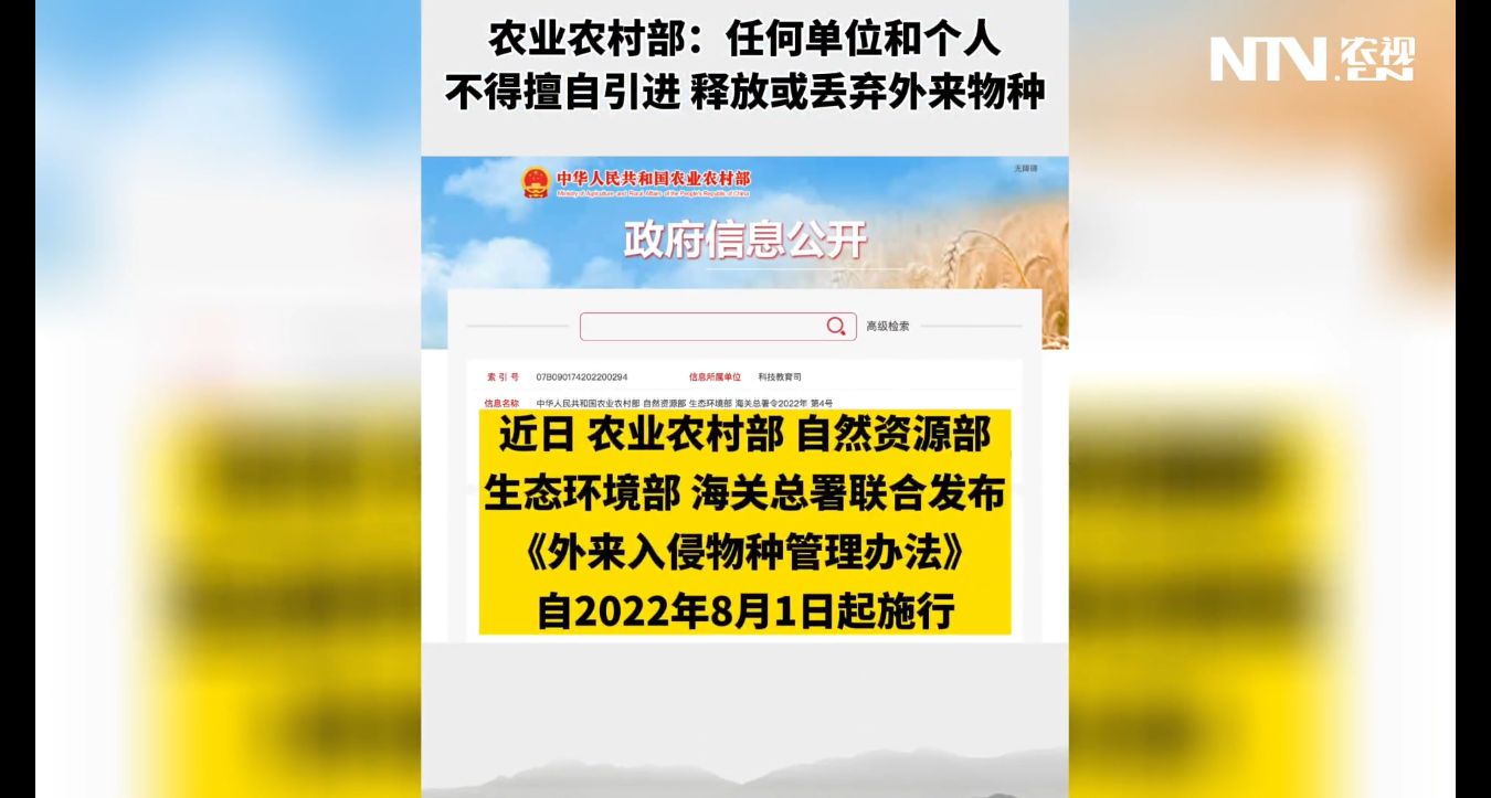 新农合省内异地没转诊要备案吗