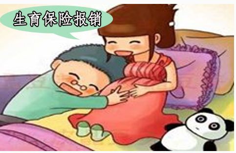 生育保险备案金总是用不了