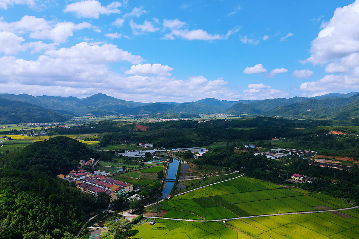 沙县房屋备案查询系统