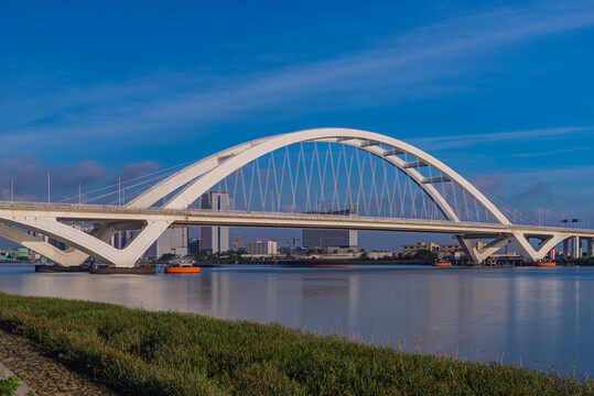 大亚湾网站建设开发