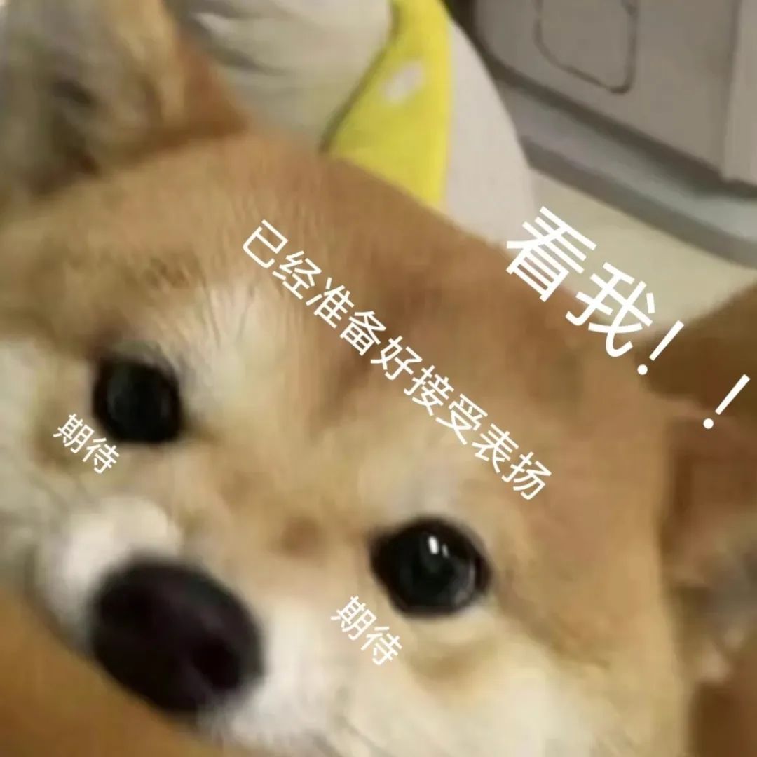 已经进行生育备案如何查询