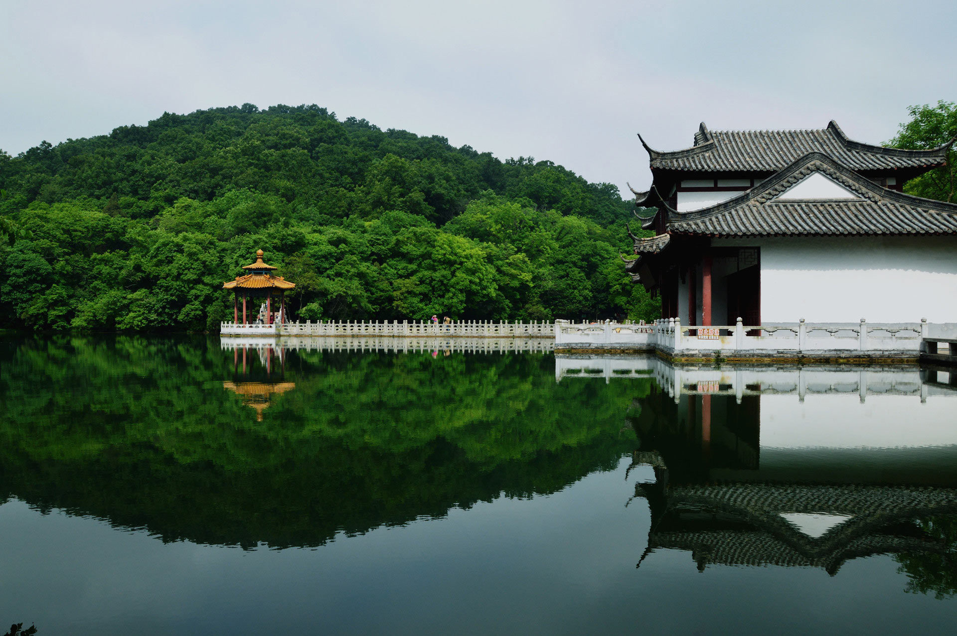 滁州市全椒县房产中介备案材料