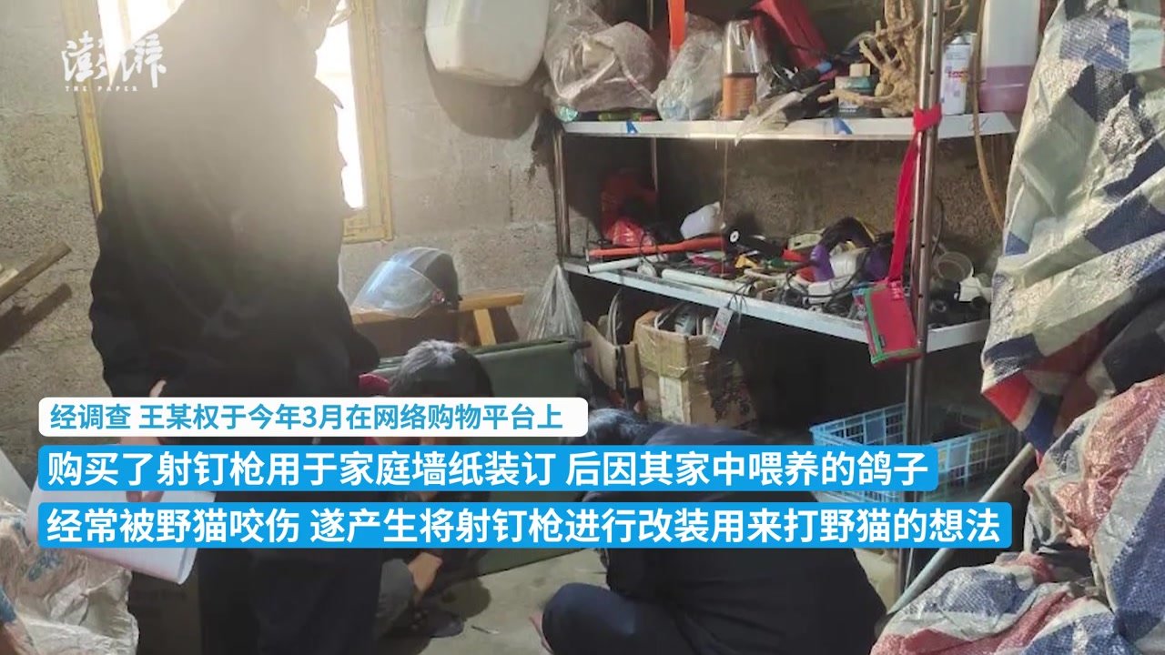 持有已备案的射钉枪违法吗
