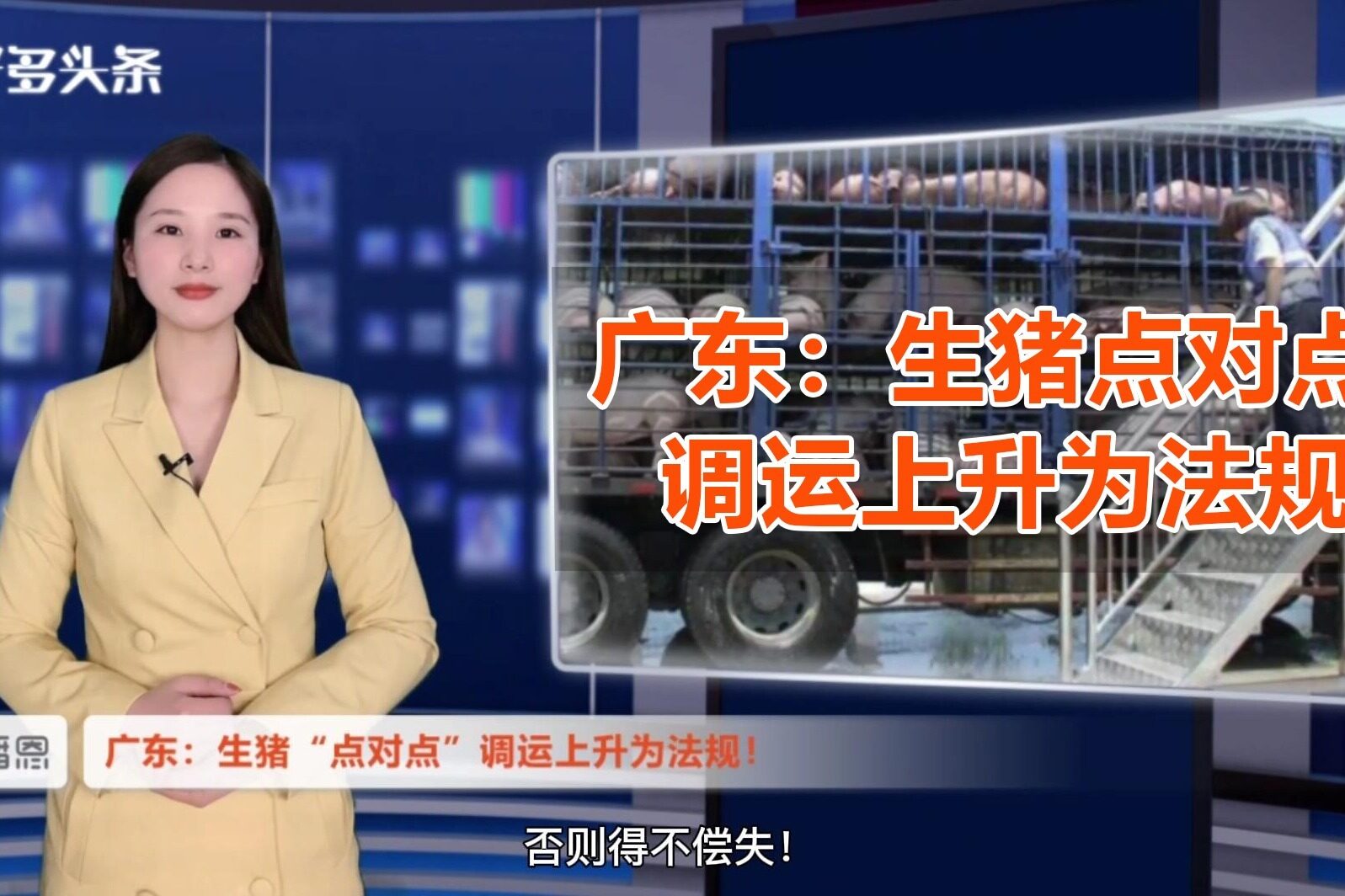 生猪调运备案用的定位有什么要求