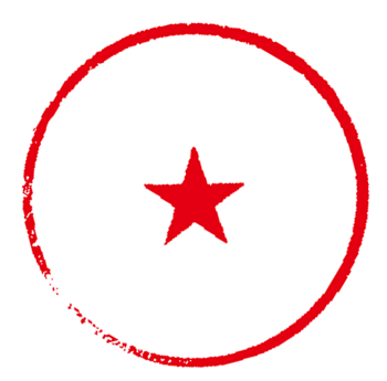 备案章有五角星图案要求么