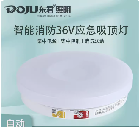 东君照明消防应急照明主机接线图