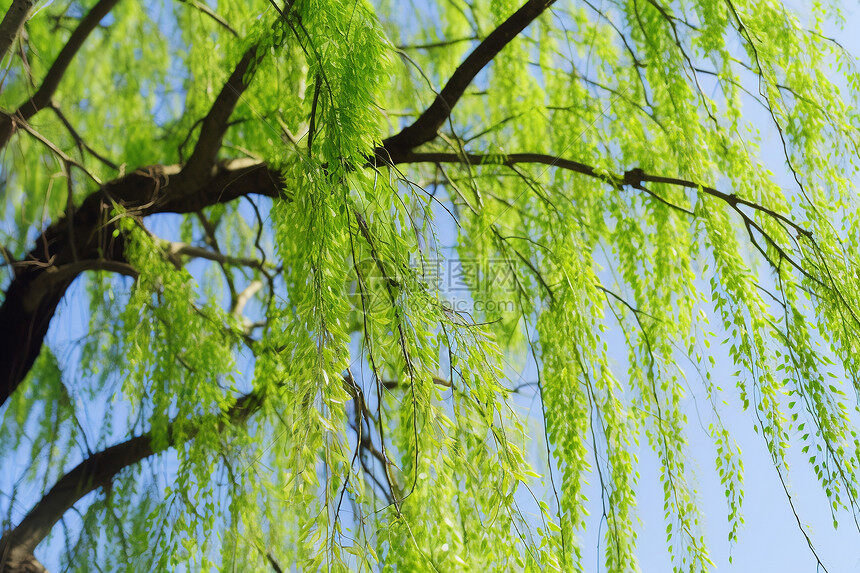 柳市接插件网站建设