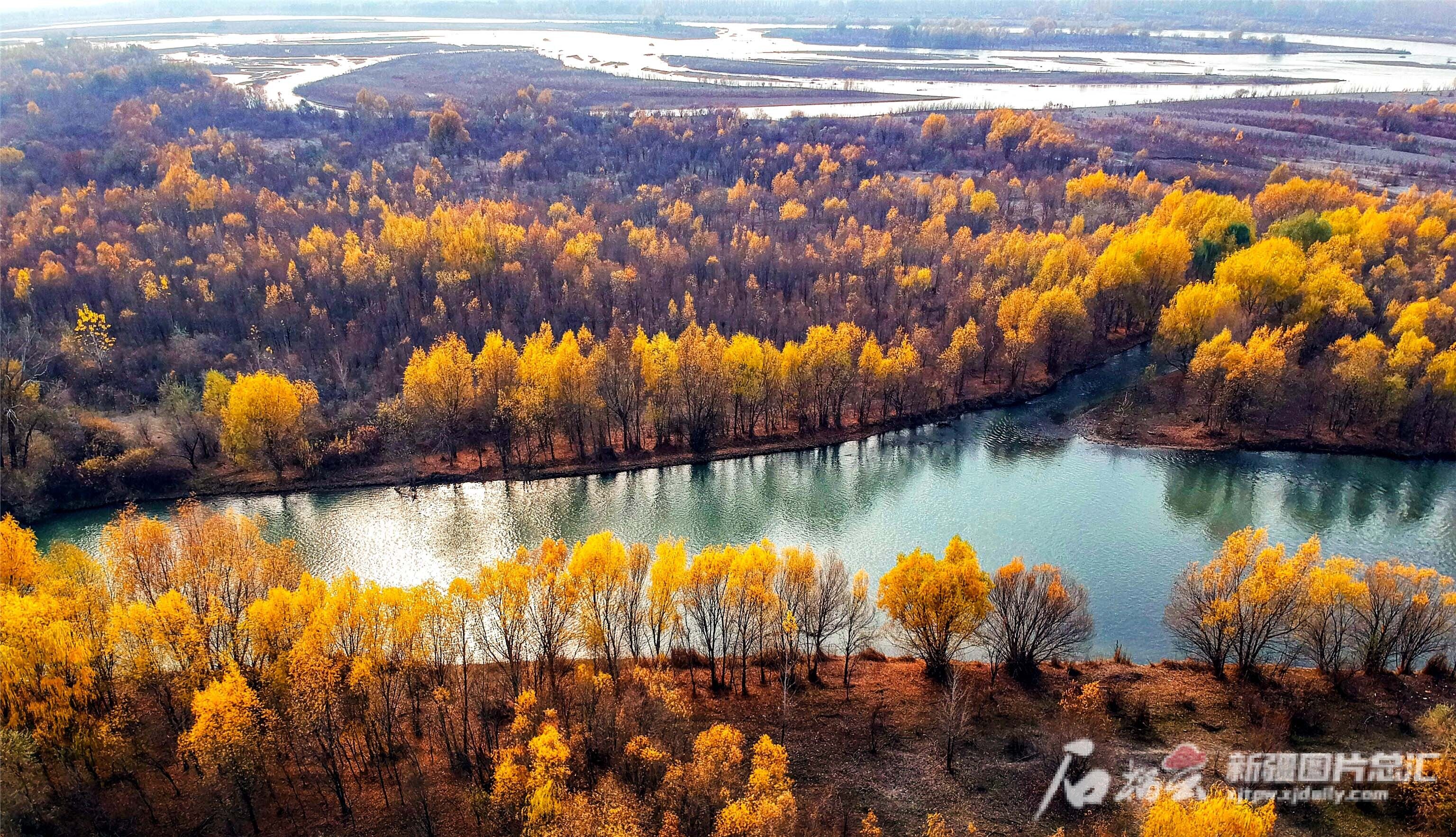 伊宁劳动合同需要备案吗