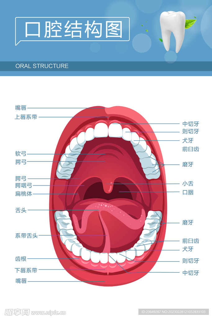 口腔诊疗技术备案