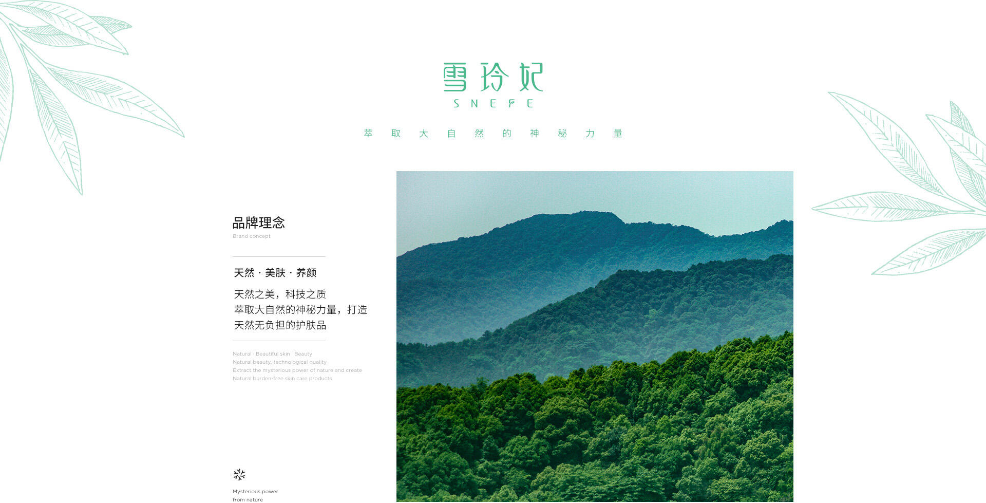 雪玲妃小灯泡精华备案成分表