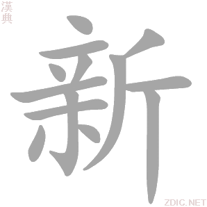 新的主机看电视剧为什么卡