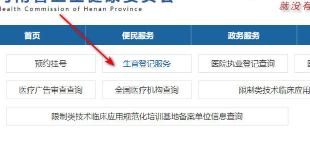 重庆怎么查询生育登记备案
