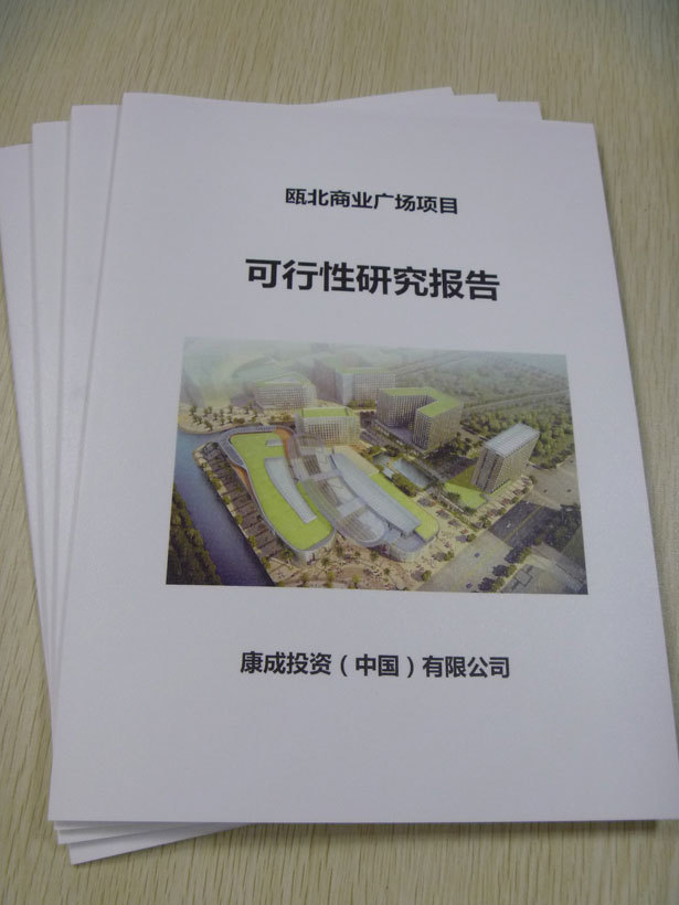 备案要可行性研究报告吗