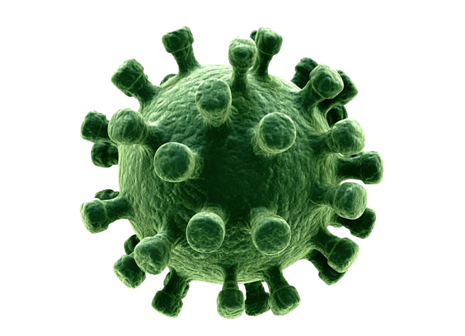 病毒会对主机造成伤害吗