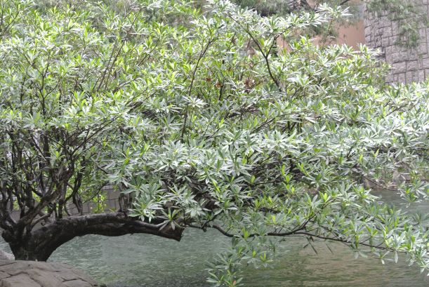 运城天宝四季春城朗园备案
