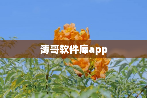涛哥主机游戏韩服