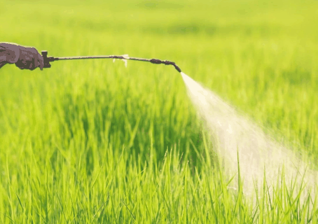 农药经营备案初始密码